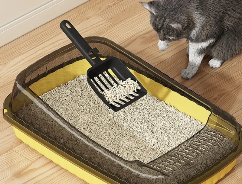¿Puede la caja de arena para gatos GRS PP resolver las mayores frustraciones de los dueños de gatos?